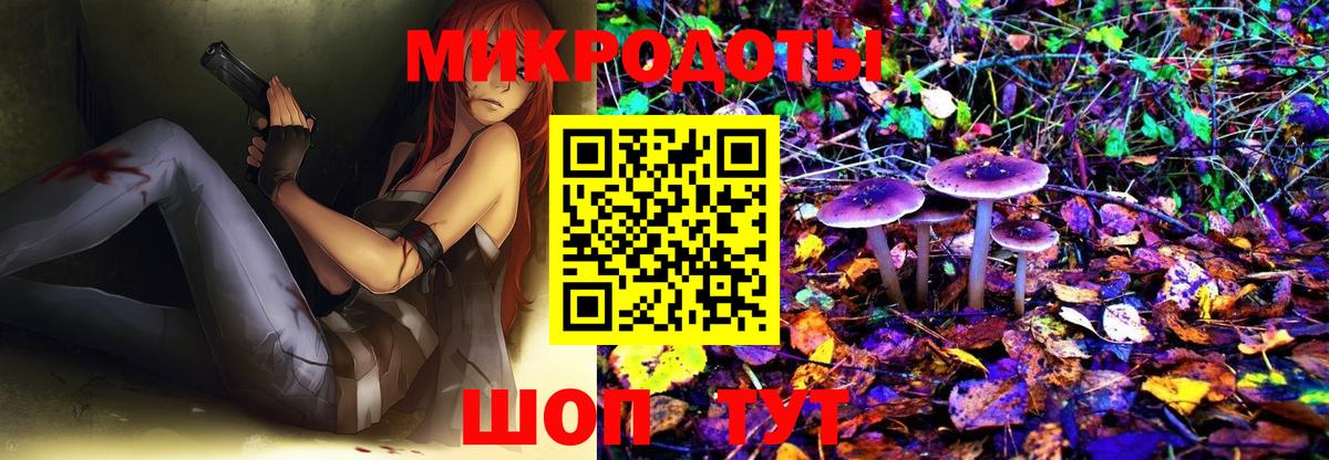 Псилоцибиновые грибы Cubensis Южноуральск