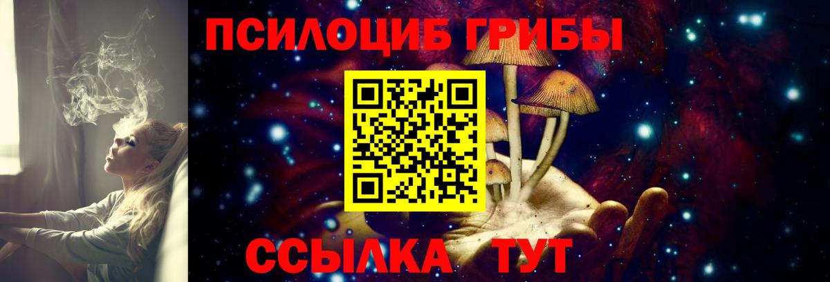 Псилоцибиновые грибы Psilocybe  Вход с VPN  Южноуральск 